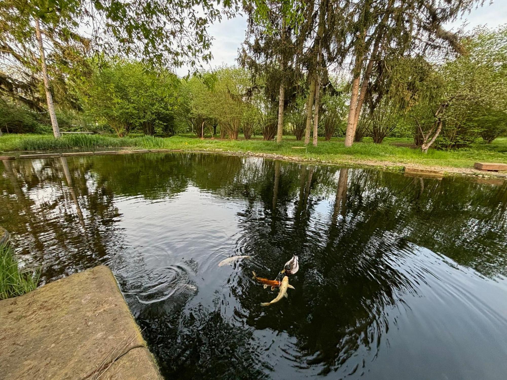 Datscha Am See Worms Dış mekan fotoğraf